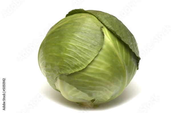 Obraz  fresh gabbage on white background