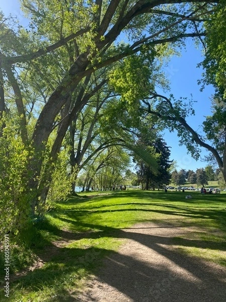 Obraz path in the park