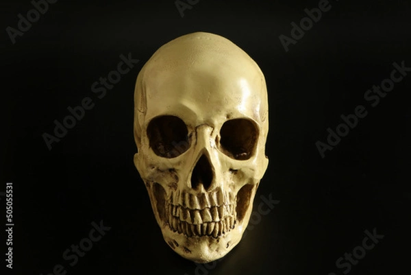 Obraz 怖い不気味なドクロ頭蓋骨（シンプル黒背景）