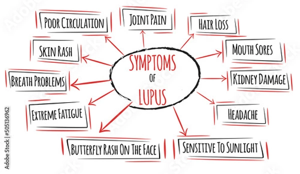 Obraz Common lupus symptoms. List of human organs damaged by lupus syndrome.