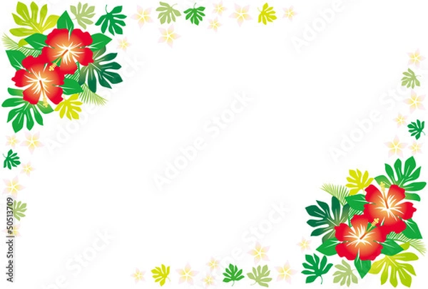 Fototapeta ハイビスカスフレーム