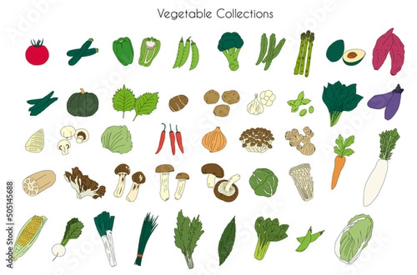 Obraz Vegetable drawing illustration set