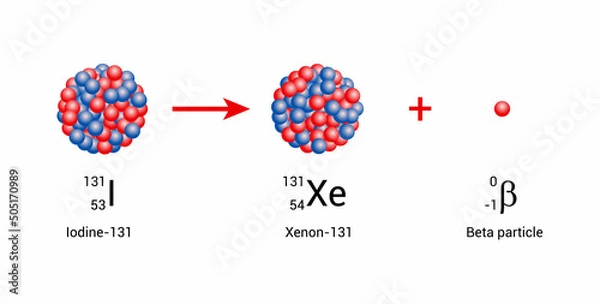 Fototapeta Iodine-131 nucleus undergoes beta decay to form xenon-131