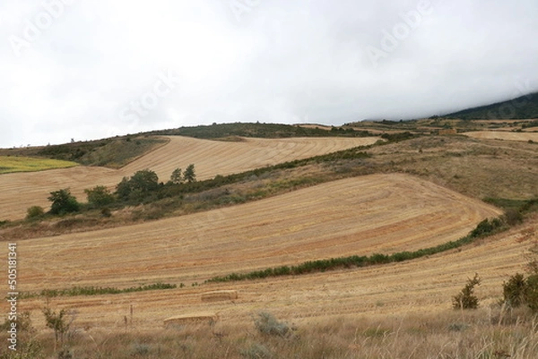 Obraz paysage champêtre