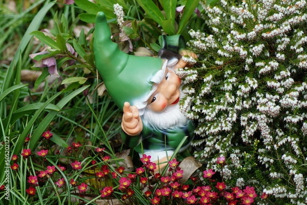 Fototapeta little gnomes hide in the garden