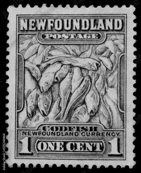 Obraz briefmarke stamp vintage retro alt old codfish newfoundland postage fisch trockenfirsch dorsch one cent post letter mail papier paper neufundland