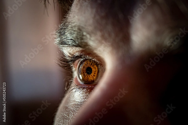 Fototapeta Very intense look of brown eye of man. Macro shot of man's bronze eye with pupil details. Close-up portrait of a young man with focus on eyes and pores on face.
