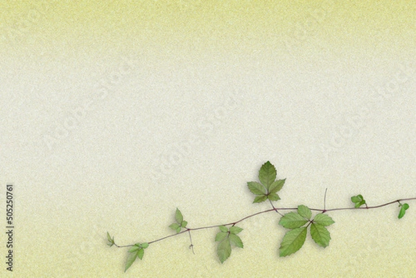 Obraz 紙テクスチャと植物