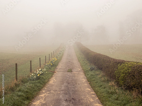 Obraz Misty road
