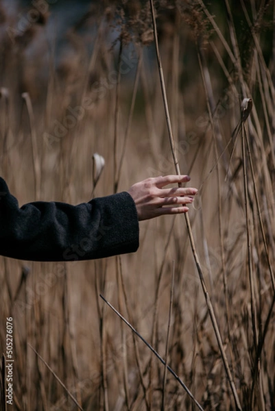 Fototapeta hand and grass