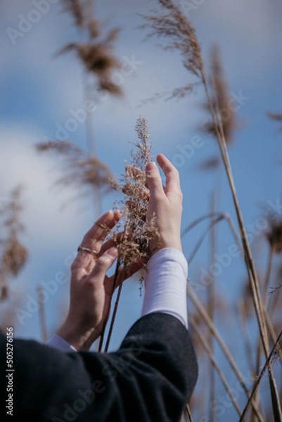 Obraz hand and grass