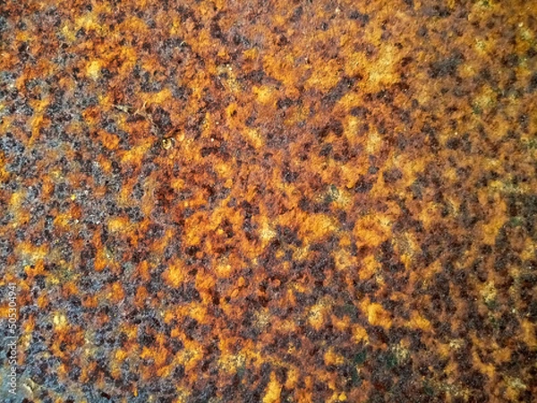 Obraz Rusty texture