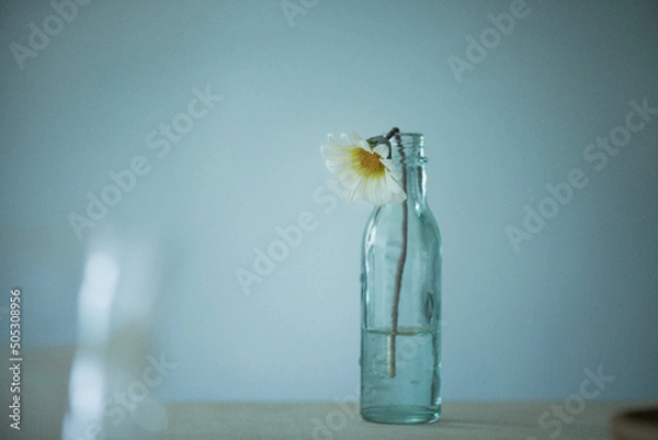 Obraz 一輪挿し　瓶