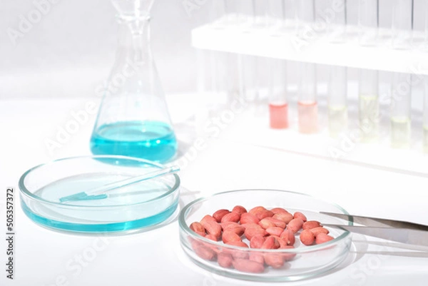 Fototapeta  Peanuts control in test lab. chemical laboratory table. Food quality and safety control. Chemical glassware, test-tubes and substance.
