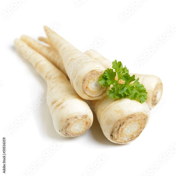 Obraz Petersilienwurzel