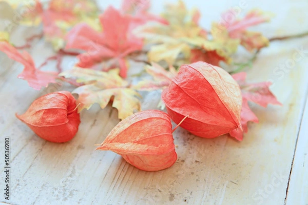 Obraz Herbstlicher Deko