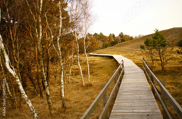 Fototapeta Hiking trail over a wooden walkway to the high dune on the Darß. National park