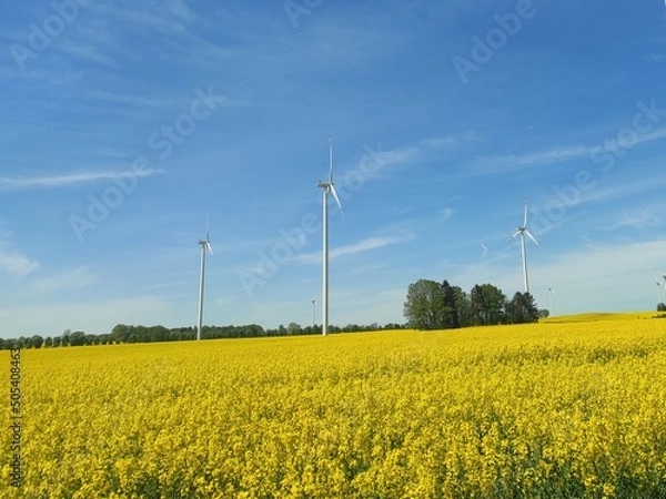 Obraz wind turbines in the field