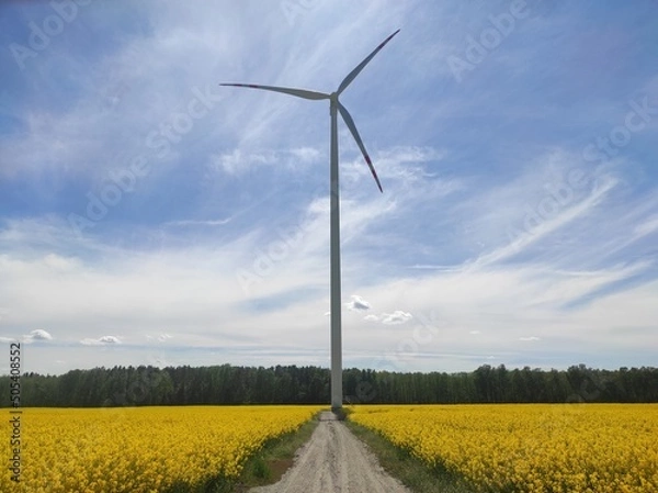 Obraz wind turbines in the field