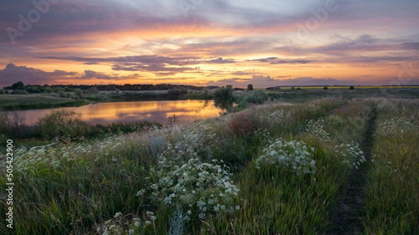 Obraz Summer evening by the river