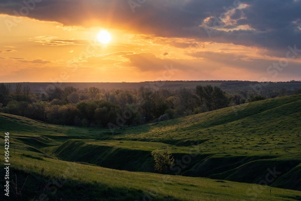 Obraz spring evening in nature