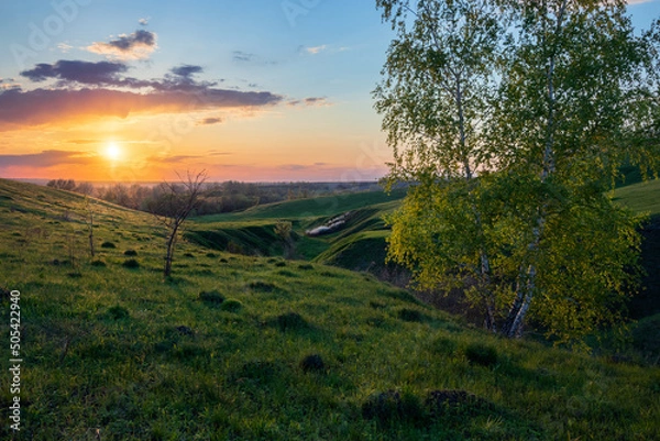 Obraz Spring evening in nature