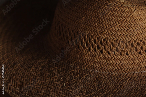 Obraz 麦わら帽子