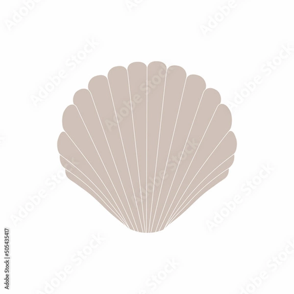 Fototapeta Seashell icon, seashell sign vector graphic, line template on white background, eps 10.Seashells in fashionable minimal style. Shell, snail, scallop illustration and for website, t-shirt print, tattoo
