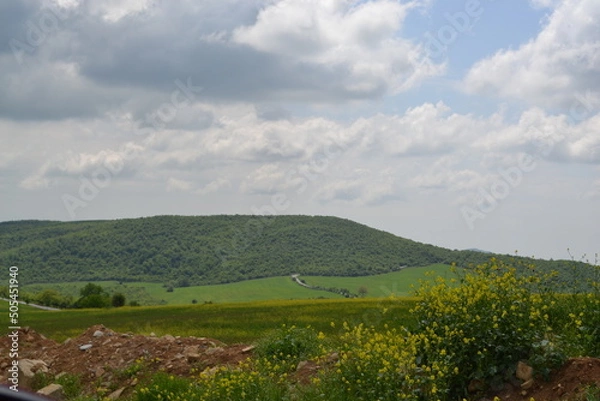 Obraz landscape with field and sky