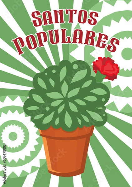 Obraz Santos Populares. Basil in a pot Manjerico plants