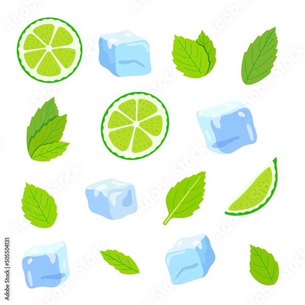 Fototapeta Graphic vector illustration of mojito cocktail ingredients: lime slices, mint leaves, ice cubes. Refreshing drink ingredients isolated on white background.