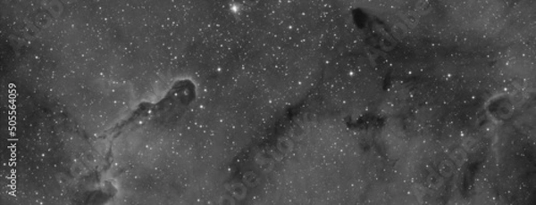 Obraz h alpha elephant