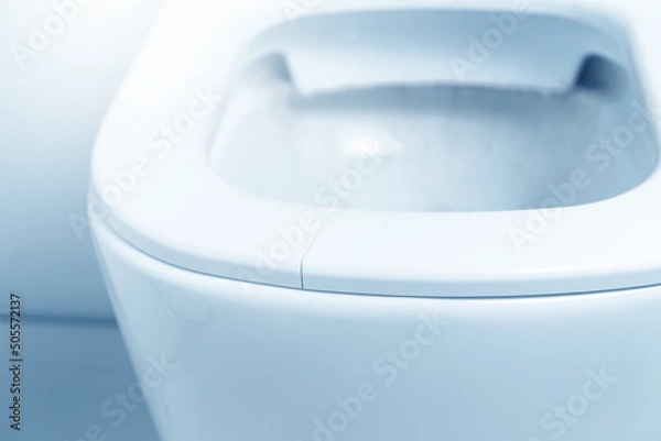 Obraz Crack in the plastic rim of the toilet bowl.