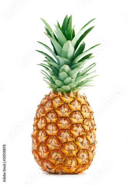 Fototapeta Ananas