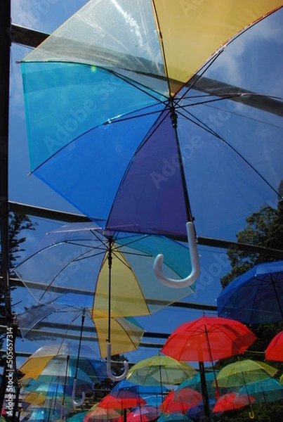 Obraz カラフルな傘