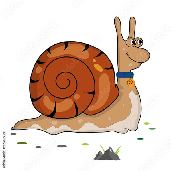Fototapeta Snail