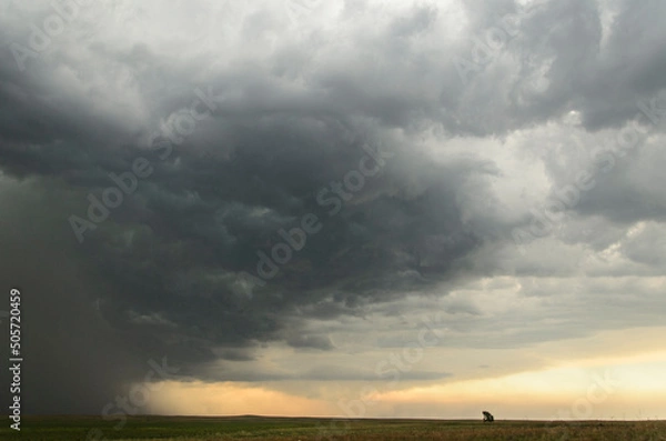 Fototapeta Storm chasing