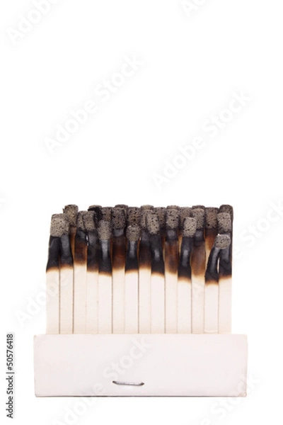 Obraz Burned heads