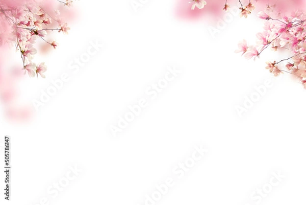 Fototapeta Blooming Spring Branch nakładki, kwiat, kwitnące drzewa, pastelowe wiosenne lato, nakładka na zdjęcie, png