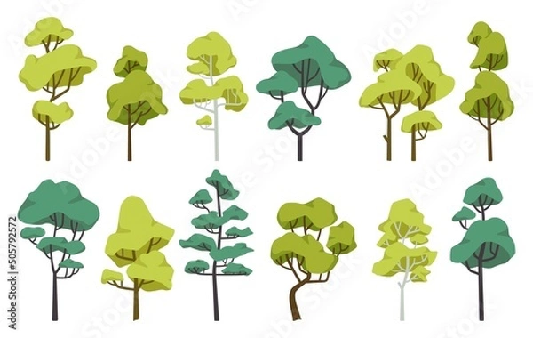 Fototapeta Cartoon green trees for forest or park nature landscape. Plant with trunk and leaves. Woodland environment. Flat tree vector set