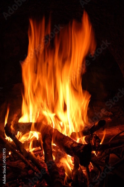 Fototapeta feu de bois