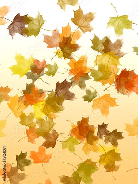 Fototapeta Falling leaves