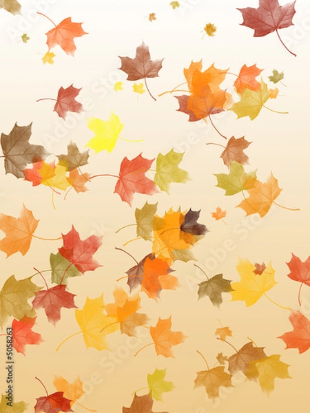 Fototapeta Falling maple leaves