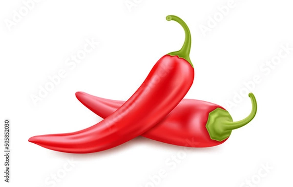 Obraz Red hot chili pepper. Element for design. Vector realistic icons.