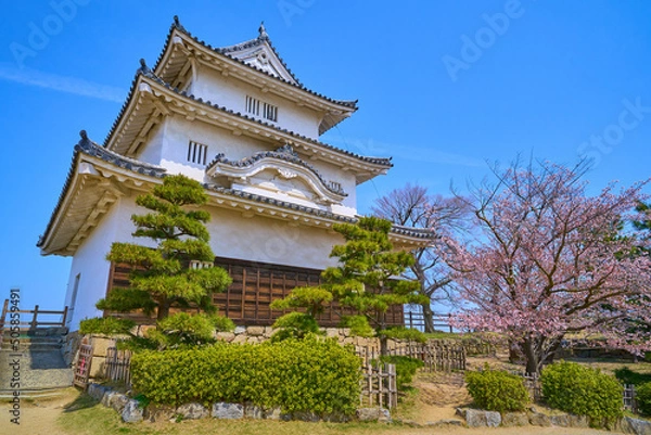 Fototapeta 春の香川県丸亀市の丸亀城