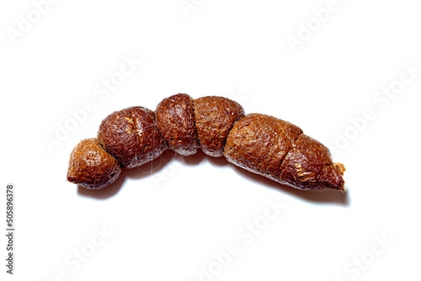 Obraz smelly defecate animal, dog excrement with clipping path isolated on white background, close-up poop top view.