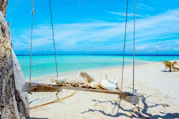 Fototapeta Underwater shells on the swing on the shore of the Indian Ocean. Maldives.