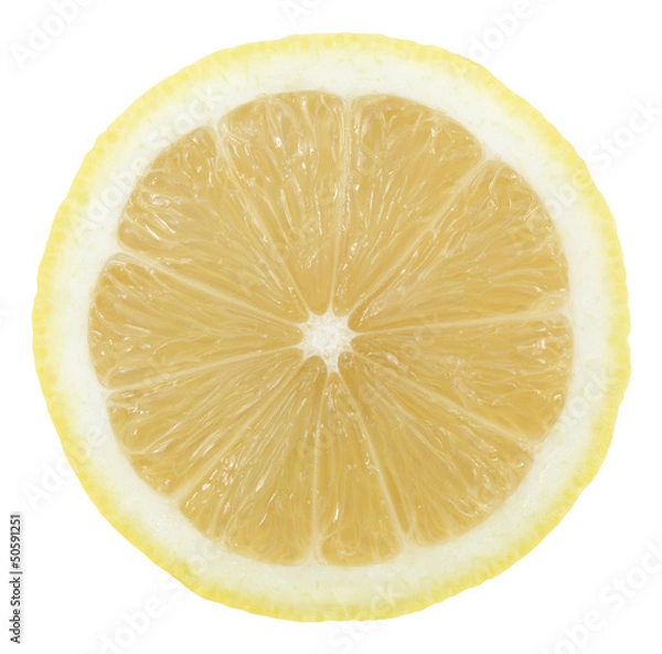 Obraz Lemon slice.