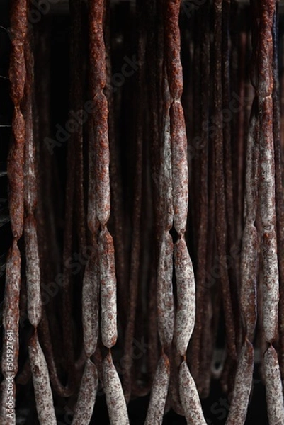 Obraz bark texture