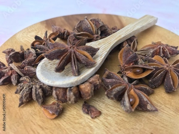 Obraz Star Anise